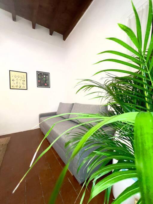 Casa Centro Firenze Wi Fi Aria Condizionata Netflix Apartment Exterior foto